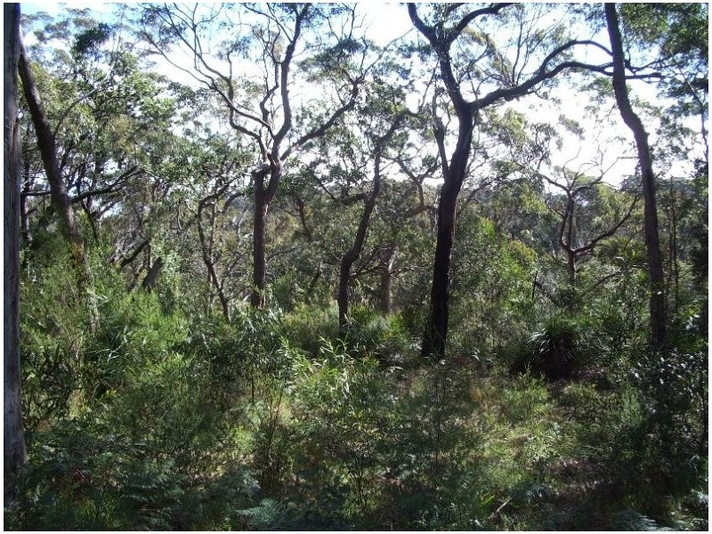 Kurrajong Heights NSW 2758