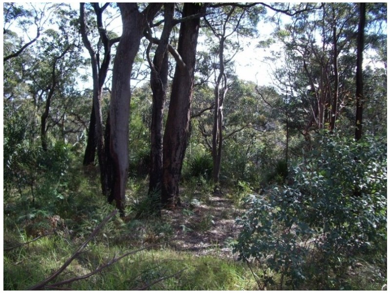 Kurrajong Heights NSW 2758