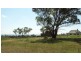 Riverstone NSW 2765