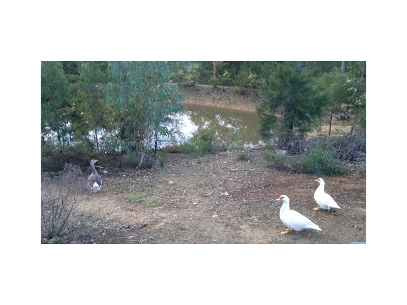 Lower Portland NSW 2756