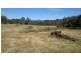 Wilberforce NSW 2756