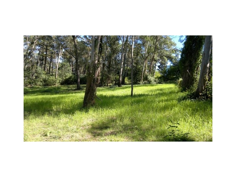 Kurrajong NSW 2758