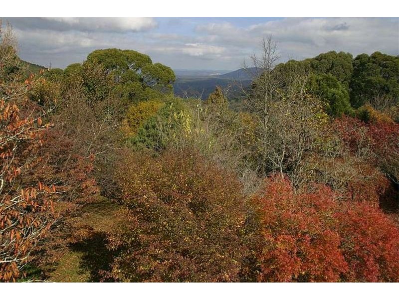 Mount Tomah NSW 2758