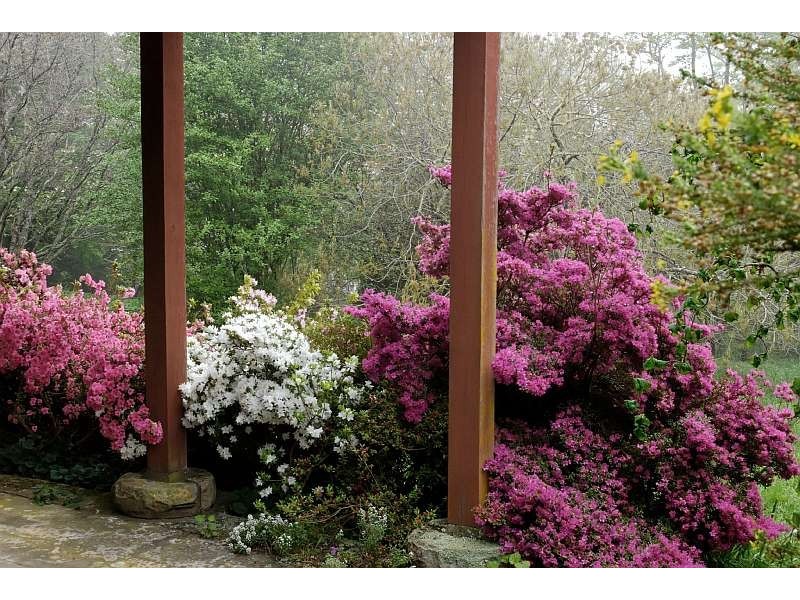 Mount Tomah NSW 2758