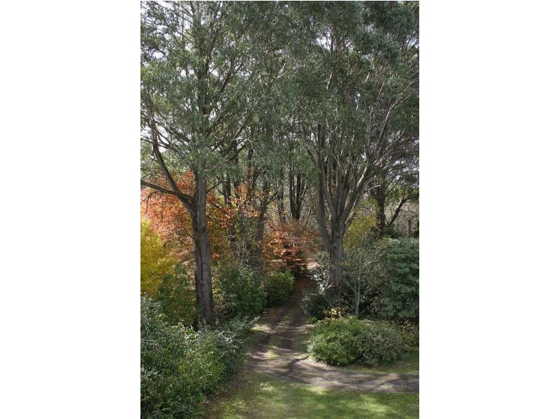 Mount Tomah NSW 2758