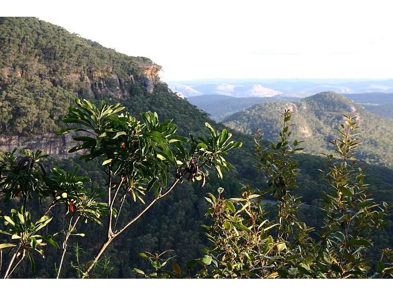 Mount Tomah NSW 2758