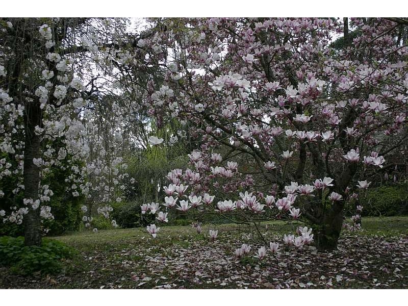 Mount Tomah NSW 2758