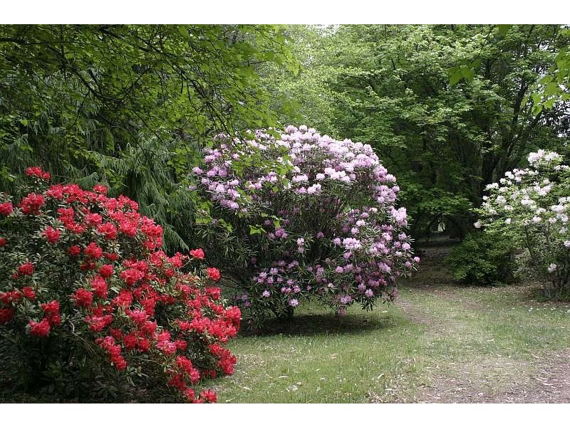 Mount Tomah NSW 2758