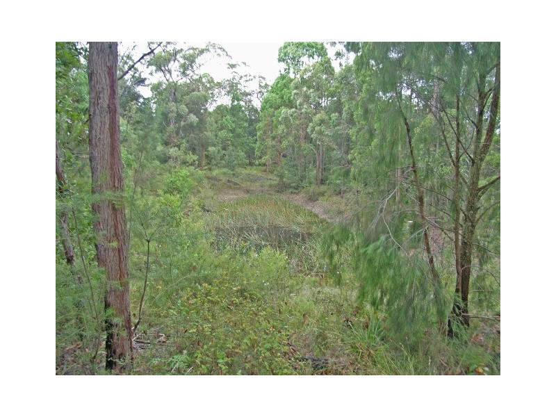 Colo Heights NSW 2756