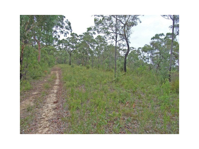 Colo Heights NSW 2756