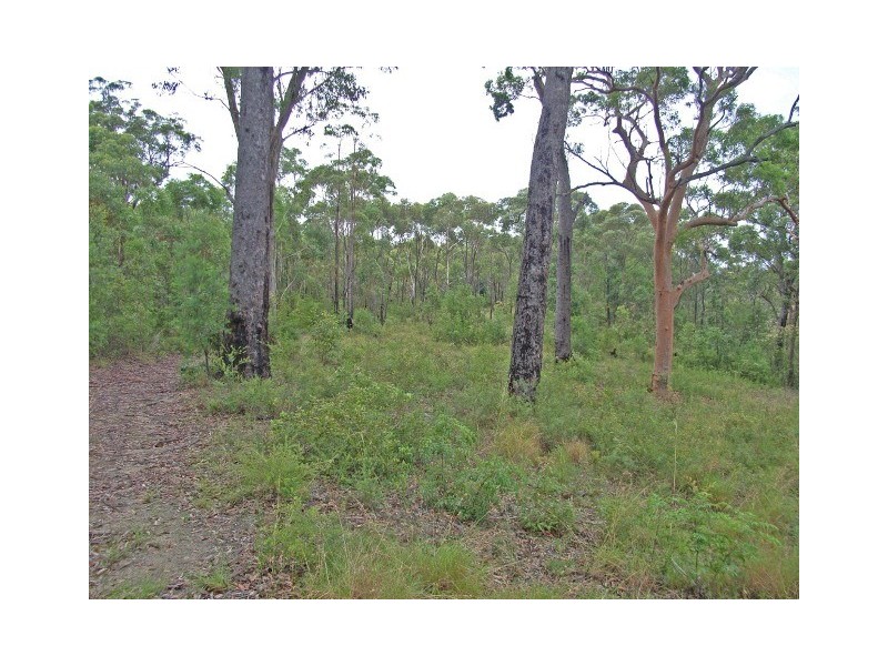 Colo Heights NSW 2756