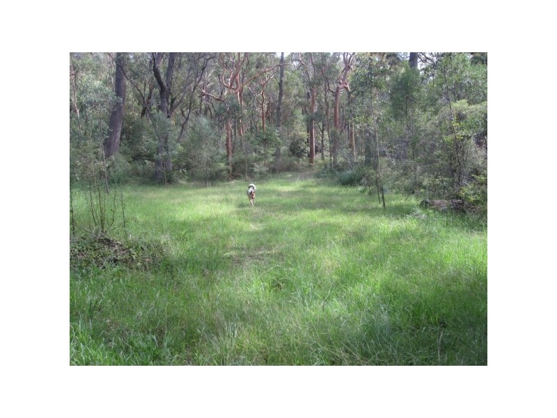 Hazelbrook NSW 2779