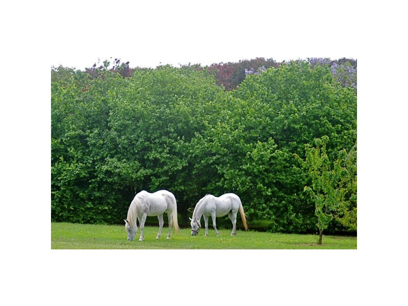 Nilma North VIC 3821