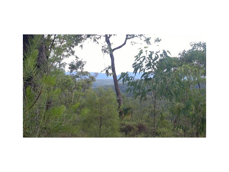 Blaxlands Ridge NSW 2758
