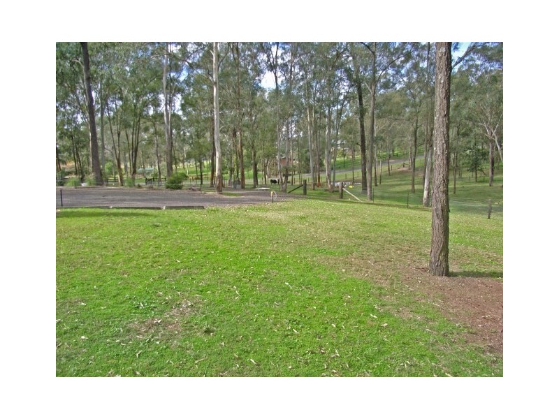 Glossodia NSW 2756