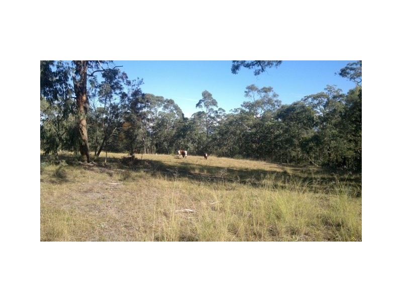 Blaxlands Ridge NSW 2758