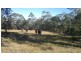 Blaxlands Ridge NSW 2758