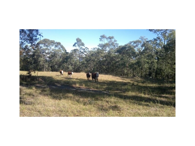Blaxlands Ridge NSW 2758