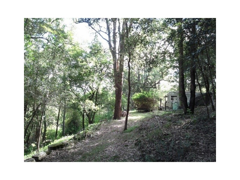 Lower Portland NSW 2756