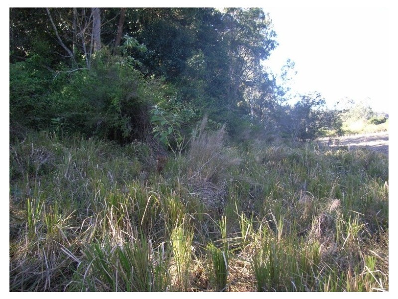 Lower Portland NSW 2756
