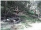 Lower Portland NSW 2756
