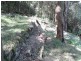 Lower Portland NSW 2756