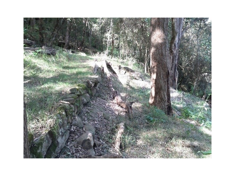 Lower Portland NSW 2756