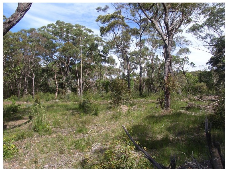 Kurrajong Heights NSW 2758