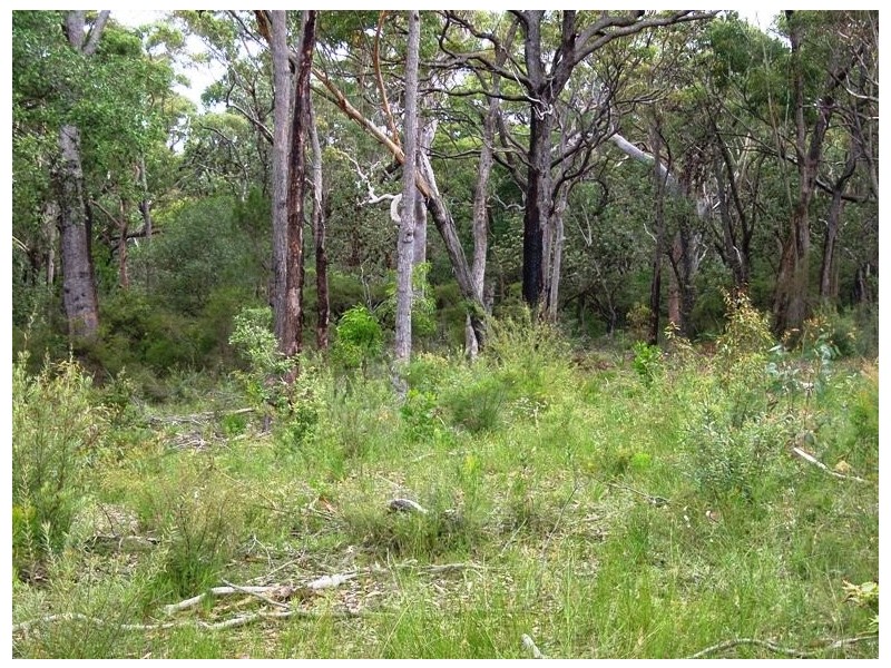 Kurrajong Heights NSW 2758