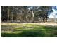 East Kurrajong NSW 2758