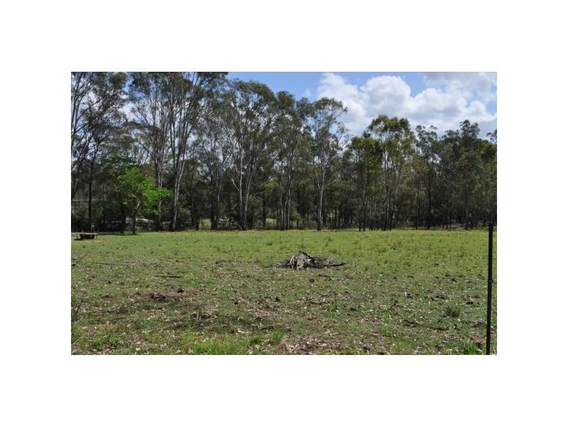 Glossodia NSW 2756