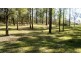 343 Spinks Road,, Glossodia NSW 2756