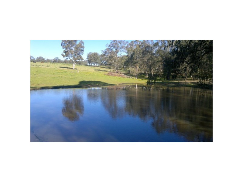 343 Spinks Road,, Glossodia NSW 2756