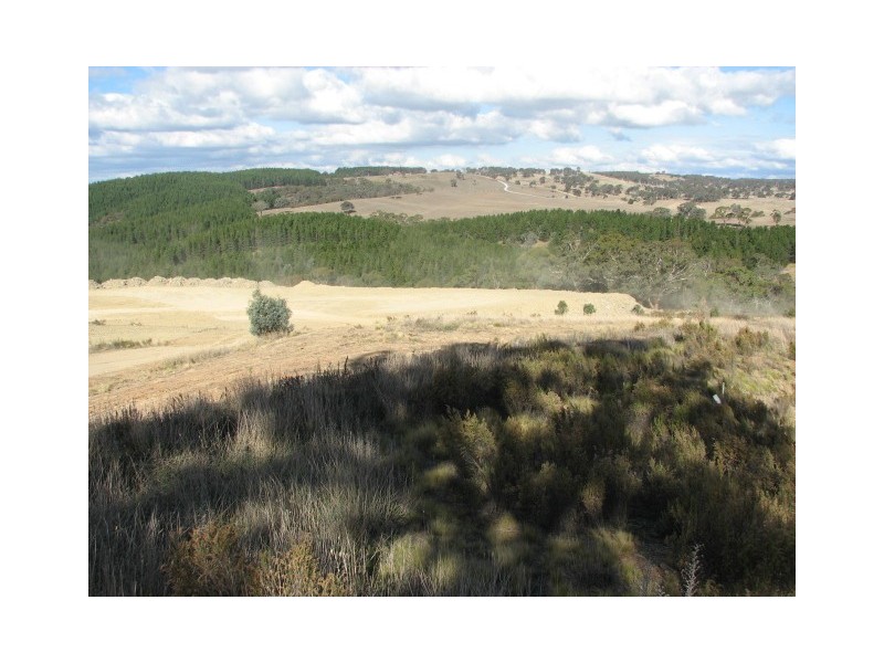 Blayney NSW 2799