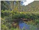 161 Popran Road, Lower Mangrove NSW 2250