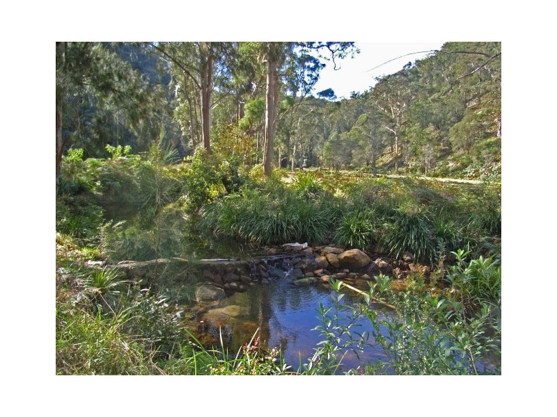 161 Popran Road, Lower Mangrove NSW 2250