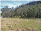 161 Popran Road, Lower Mangrove NSW 2250