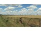 Canowindra NSW 2804