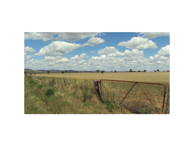 Canowindra NSW 2804