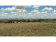Canowindra NSW 2804