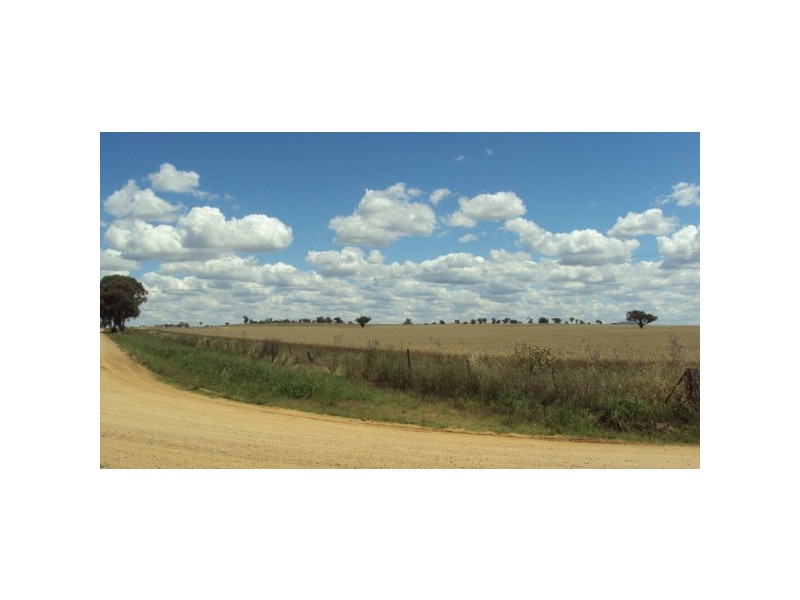 Canowindra NSW 2804