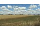 Canowindra NSW 2804