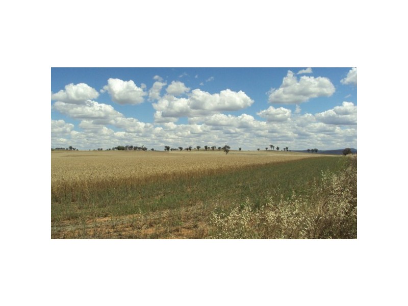 Canowindra NSW 2804