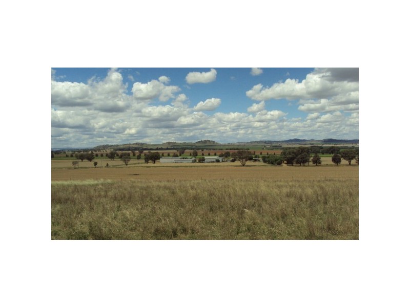 Canowindra NSW 2804