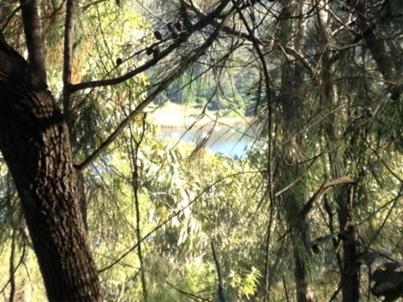 Lower Portland NSW 2756