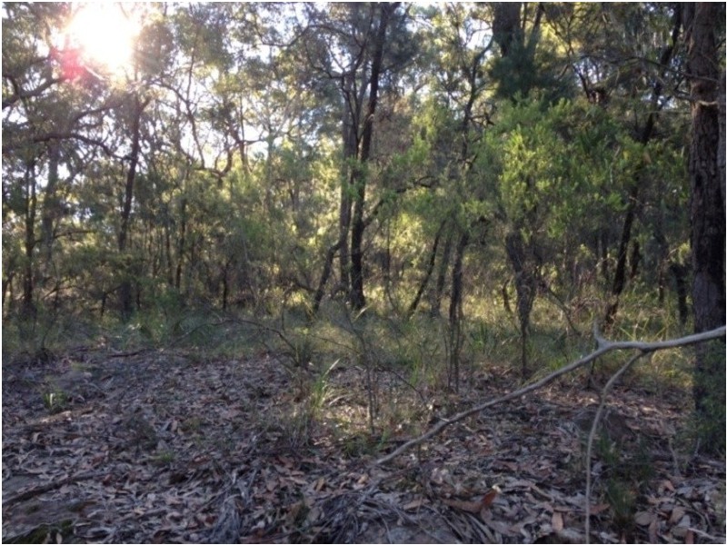 Lower Portland NSW 2756