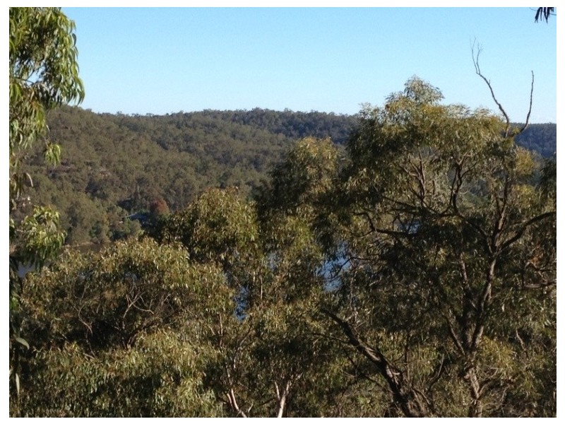 Lower Portland NSW 2756