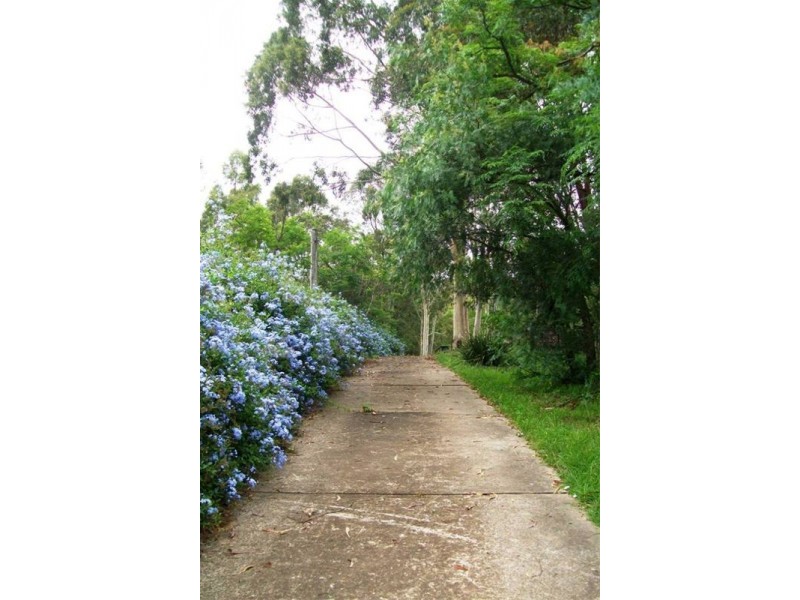 Glossodia NSW 2756