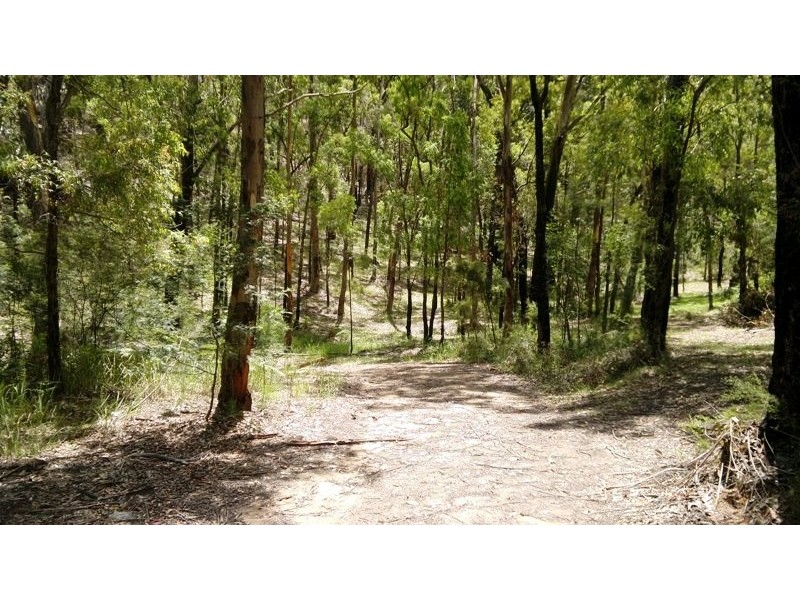 Blaxlands Ridge NSW 2758