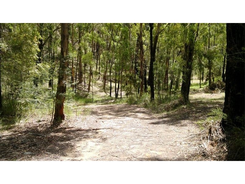 Blaxlands Ridge NSW 2758